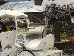 -世界之窗阿尔卑斯冰雪世界