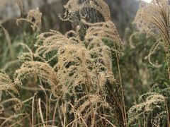 -西湖风景区-江洋畈生态公园