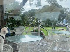 -Takapuna Beach Cafe