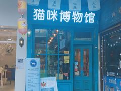 -猫咪博物馆(顶澳仔猫街店)