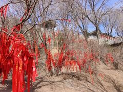 -五台山风景名胜区-罗睺寺