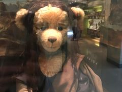 -济州岛泰迪熊博物馆