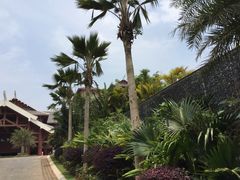 -海口万豪·大堂吧·望海吧.日落海景·下午茶·奶茶·咖啡·轻食·蛋糕·鸡尾酒·清吧