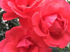 -西岭雪山大飞水景区