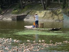 -郴州特产舜华临武鸭(郴州西站店)