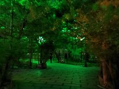 -大鹅岛绿色生态美食园