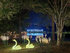 -长兴太湖图影湿地文化园