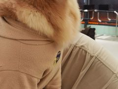 -怪兽屋·羊驼·猫咖·狗咖(俊华广场店)