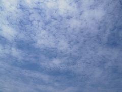 -滨湖塘西河公园