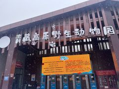 -青藏高原野生动物园
