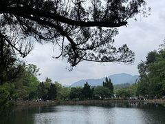 -韶山毛泽东同志故居