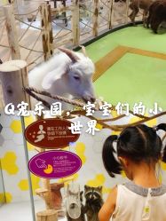 -七巧国萌宠乐园(龙湖天街店)