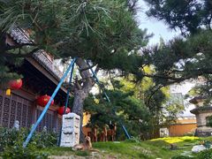 -龙华寺