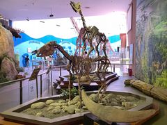 -陕西自然博物馆