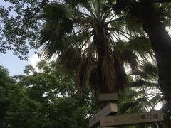 -苏州河梦清园环保主题公园