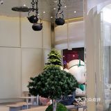 好赞的苿莉奶白