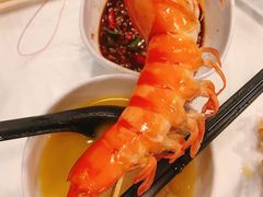 -鲜入围煮花胶鸡海鲜火锅