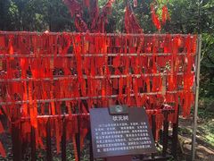 -青州市云门山风景区