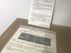 -成都失恋馆