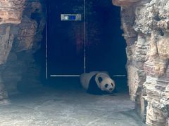 -石家庄市动物园