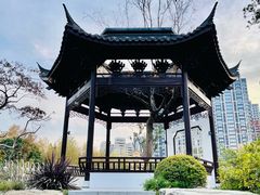 -和平公园