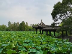 -高子水居