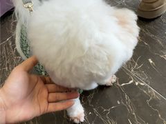 -宠爱国际动物医院·疑难骨科·心肾内科·皮肤科(太阳宫店)