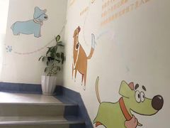 -瑞派申生动物医院·24H夜诊·国际动物医疗中心·骨外科(吴中路店)
