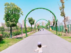 -菊园百果园