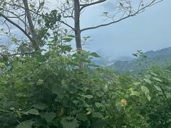 -将军关探险漂流