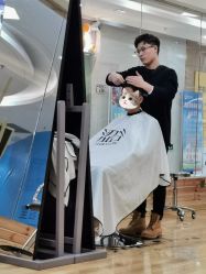 -涩谷· Hair Salon
