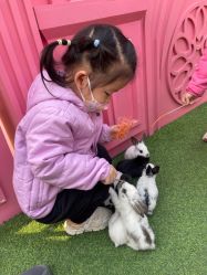 -萌宠亲子动物乐园(槐房万达店)