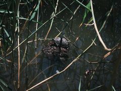 -颐和园西门停车场