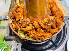 -刘记光大火锅鸡(北行店)