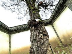 -河间府署