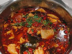 -川囧肥肠鸡·美蛙鱼锅(平高广场店)