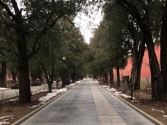 -北京市劳动人民文化宫(太庙)