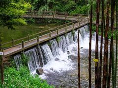-龙苍沟森林公园