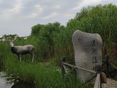-溱湖国家湿地公园