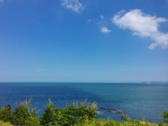 -阿水大杯茶(韩乐坊西街店)