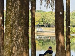 -四海公园(南山区)