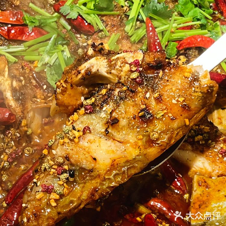 自家养殖江团鱼|这家店的烤鱼实在太新鲜啦‼️