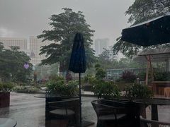 -星巴克(佛山南海万科店)