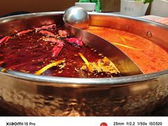 -菌自在·云南野生菌火锅(长安万达店)