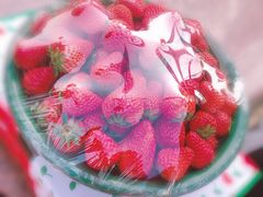 -江杨农产品批发市场