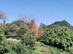 -贵阳市花溪国家城市湿地公园