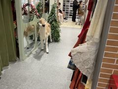 -海马体照相馆(正佳广场大师店)