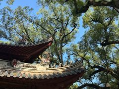 -普陀山风景名胜区-千步大沙