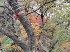-九鼎铁刹山风景区