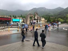-青岛森林野生动物世界